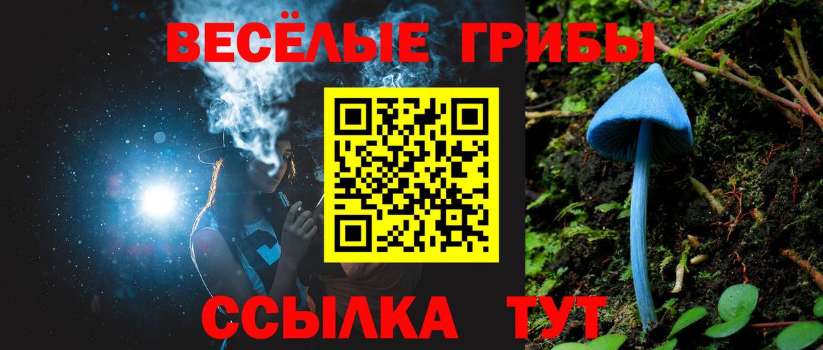 Галлюциногенные грибы Psilocybe Тайшет